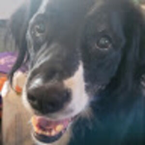 Meet your Posher, Ione